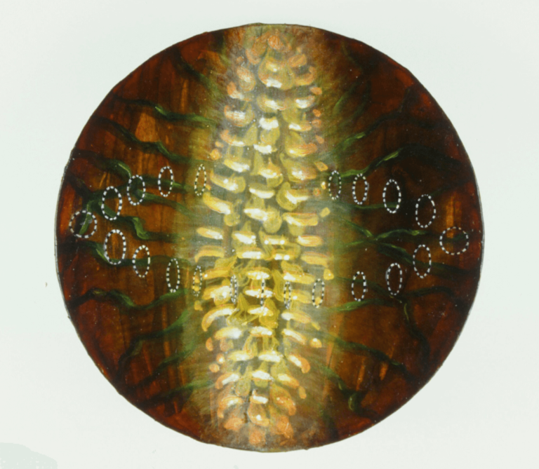 Near-pollen, oil & alkyd on panel, 9" diameter, 1996