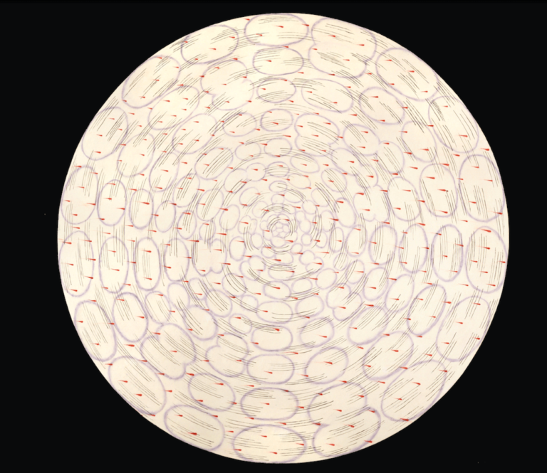 plewds, oil and wax on panel, 48" diameter, 2005