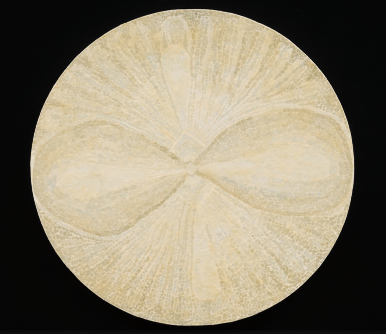 Sem, eggshells, oil and wax on panel, 48" diameter, 2008