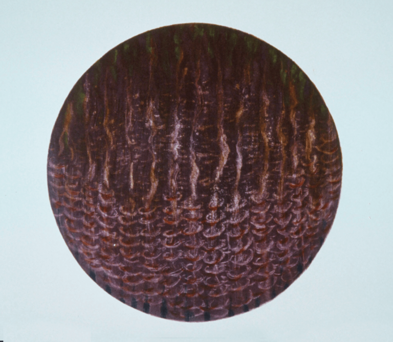 Dante's Dream, Canto XIII, monotype, 30" x 22", 1992