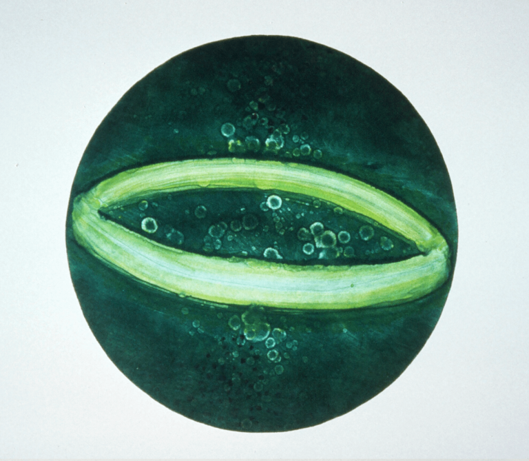 Dante's Dream, Canto V, monotype, 30" x 22", 1992