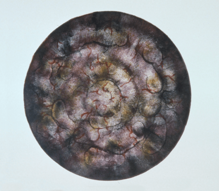 Dante's Dream, Canto XIV, monotype, 30" x 22", 1992